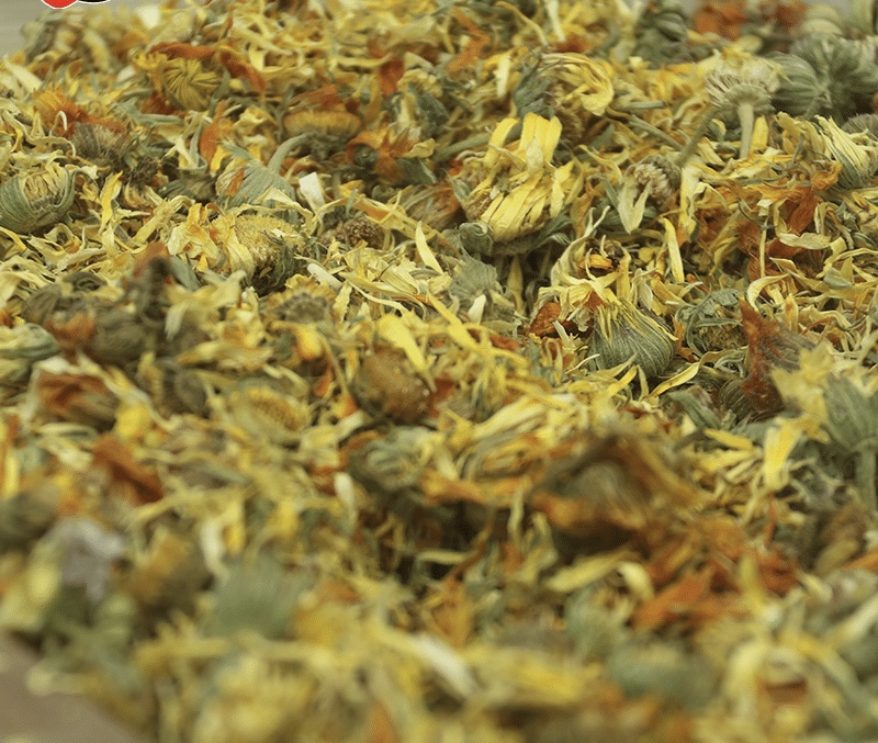 گل همیشه بهار