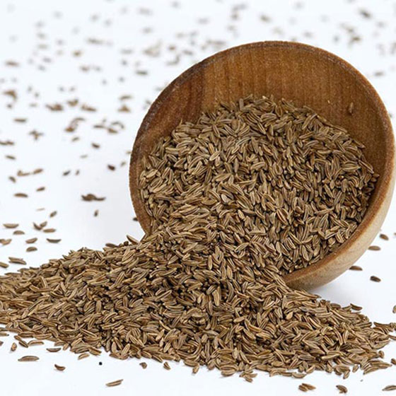 دانه زیره سبز کرمانی