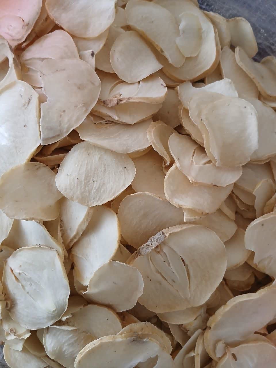 موسیر کوهی پلاکی